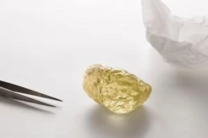 Chiêm ngưỡng viên kim cương hiếm, to bằng quả trứng gà