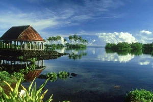 Quốc gia nào đón năm mới 2019 đầu tiên?