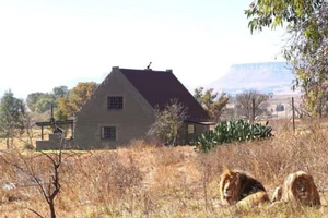 Trả tiền để sống chung với 77 con sư tử