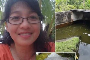 Kinh hoàng: Cá sấu lên bờ ăn thịt nhà khoa học