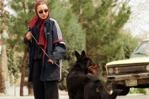 Dắt chó đi dạo cũng bị cấm