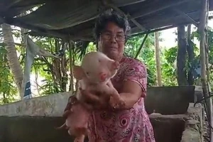 Kì lạ chú lợn sinh ra với 2 đầu, 2 mõm, 3 mắt