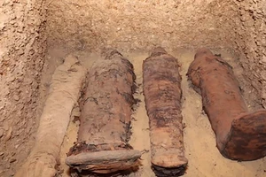 Phát hiện hàng chục xác ướp 2.300 năm tuổi ở Ai Cập