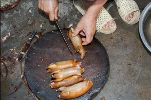 Khi nhà báo Tây thử món chuột đồng Việt Nam