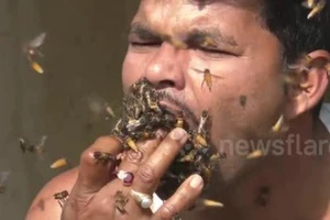 Video: Kinh dị cách đuổi ong lấy mật bằng miệng