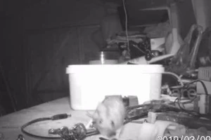 Kỳ lạ nhà kho được dọn dẹp gọn gàng sau mỗi đêm