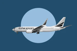 Quyền Bộ trưởng Quốc phòng Mỹ bị tố nâng đỡ Boeing