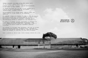 Kỳ lạ cây mọc lên giữa khán đài sân vận động