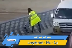 Video: Hú hồn khoảnh khắc cô gái cứu người nhảy cầu tự tử