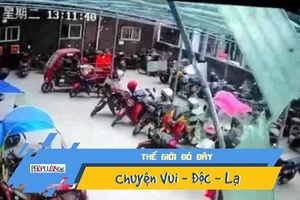 Rơi từ tầng 25, bé gái đứng dậy chạy vào nhà bình thường