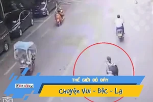 Video: Suýt chết vì ngỗng rơi trúng đầu khi đi trên đường