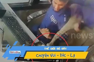 Khỉ đột nhập vào trạm thu phí... trộm 1,6 triệu đồng