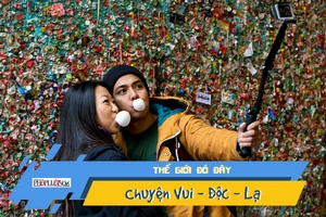 Video: Choáng với bức tường chứa cả tấn bã kẹo cao su