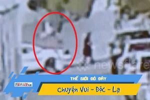 Người hùng tay không cứu cậu bé rơi từ tầng 4 xuống đất