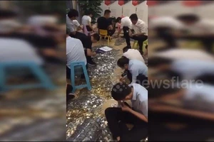 Video: Mang 16 thùng tiền xu đi mua nhà đất
