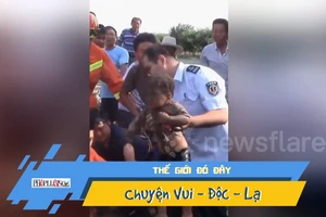 Video: Hồi hộp giải cứu bé trai rơi xuống hố sâu
