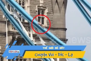 Khu du lịch náo loạn vì khách khỏa thân leo cầu tắm nắng