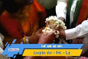 Video: Kỳ lạ tục đám cưới cho ếch để cầu mưa