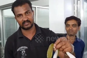 Video: Ớn lạnh cảnh bắt rắn độc ra khỏi người đàn ông đang ngủ