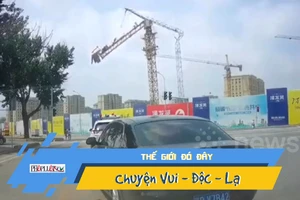 Khoảnh khắc cần cẩu đổ sập đè chết người