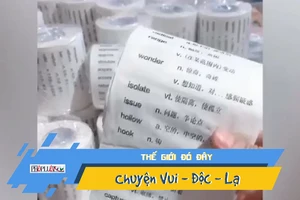 Giấy vệ sinh giúp học tiếng Anh gây sốt
