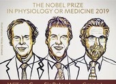 Công trình đạt Nobel Y học 2019 ảnh hưởng đến chúng ta ra sao?