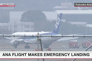 Máy bay Nhật chở 278 người hạ cánh khẩn do động cơ bốc cháy