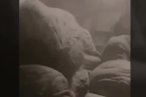 Tuyết bỗng dưng phủ kín hành khách trên xe buýt