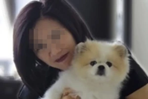 Chú chó giống Pomeranian hiện sẽ được cách ly và kiểm tra liên tục cho đến khi âm tính với virus. Ảnh: FACEBOOK