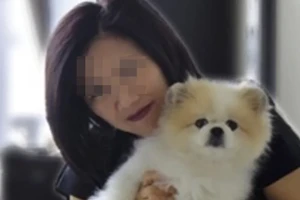 Con chó giống Pomeranian của một bệnh nhân COVID-19 hiện đã chết không rõ nguyên nhân. Ảnh: FACEBOOK