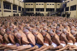 Các tù nhân ngồi thành hàng san sát tại nhà tù Izalco, El Salvador trong bối cảnh dịch COVID-19 đang lan rộng. Ảnh: AP