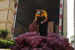 Một tấn hành tây được gửi đến nhà bạn trai cũ của cô gái. Ảnh: SHANGHAIIST
