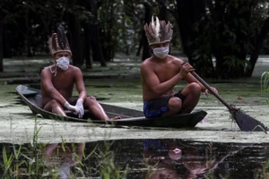 Hai người đàn ông Satere-mawe, thuộc nhóm người bản địa Brazil đang chèo thuyền trên sông Ariau, thuộc bang Amazonas (Brazil). Ảnh: AFP