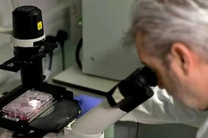 Bác sĩ Paul McKay đang dùng kính hiển vi để quan sát virus COVID-19 tại phòng thí nghiệm của Đại học y khoa Hoàng gia London. Ảnh: AFP