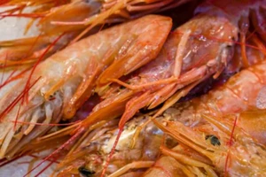 Trung Quốc cho biết vừa phát hiện tôm nhập khẩu vào nước này có chứa virus SARS-CoV-2. Ảnh: YAHOO 