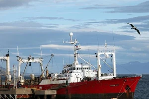 Một nhóm chuyên gia đang kiểm tra thời điểm các thuyền viên xuất hiện triệu chứng để xác định thời gian ủ bệnh. Ảnh: WIKIMEDIA COMMMONS/DAILY MAIL