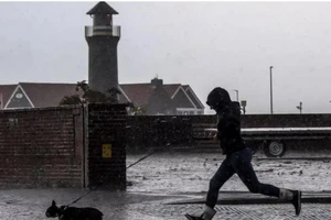 Đức sắp ra luật buộc dắt chó đi dạo hai lần trong ngày