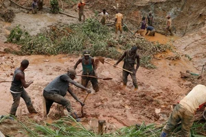 Sập mỏ vàng, 50 công nhân bị chôn vùi