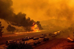 Bé trai ôm chó cưng thiệt mạng trong đám cháy ở California 