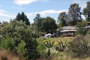 Máy bay chở 400 kg ma túy rơi do hết nhiên liệu