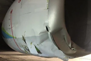 Máy bay chở khách hỏng nặng sau khi đâm chết gấu