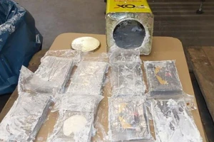 Đức, Bỉ thu giữ lô ma túy 23 tấn, chưa từng có ở châu Âu 