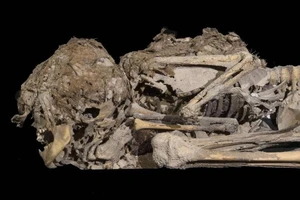 Tìm thấy hài cốt bé gái 6.000 năm tuổi còn da, gân, tóc