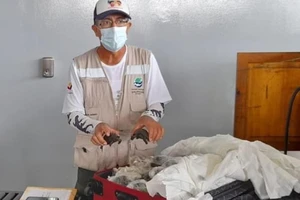 Nhét 185 con rùa hiếm giống khổng lồ thuộc sách đỏ trong vali