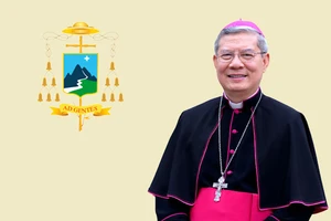 Giáo phận Đà Nẵng tạm dừng Thánh lễ tập trung