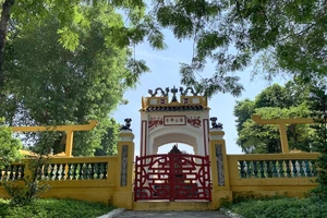 Trái châu trăm tuổi ở Lăng Ông được tìm thấy sau 10 ngày mất