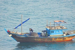 Tạm giữ tàu đánh cá bằng thuốc nổ trên vịnh Đà Nẵng
