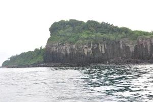 Đưa Gành Yến ra khỏi dự án của Tập đoàn FLC