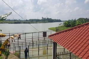 Lo hạn hán, Đà Nẵng đề nghị 4 thủy điện dừng phát điện