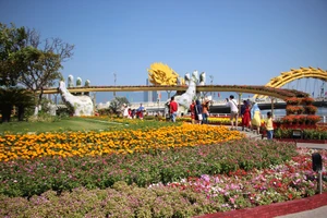 Trẩy hội 'cầu Vàng' bên đường hoa Xuân Đà Nẵng